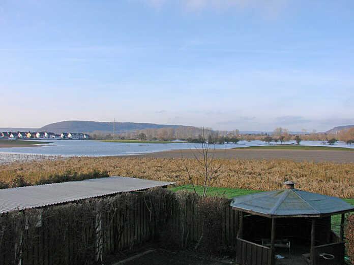 Hochwasser am Rhein vom Wassersportverein in Richtung Kripp gesehen.