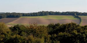 Spuren vulkanischer Fließbewegungen in der Landschaft bei Wehr