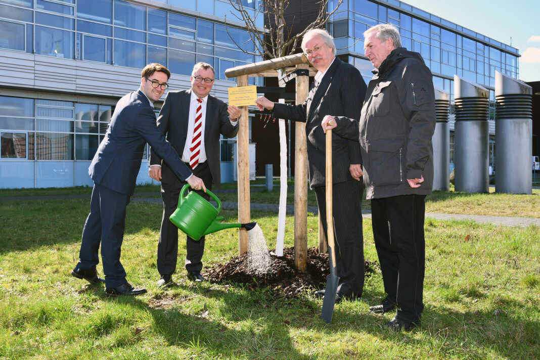 Ein Baum für den Campus: Landrat übergibt Jubiläumsgeschenk an Hochschule Koblenz