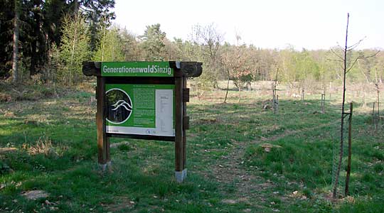 Baumgutscheine beim Sinziger Tourist-Service erhältlich