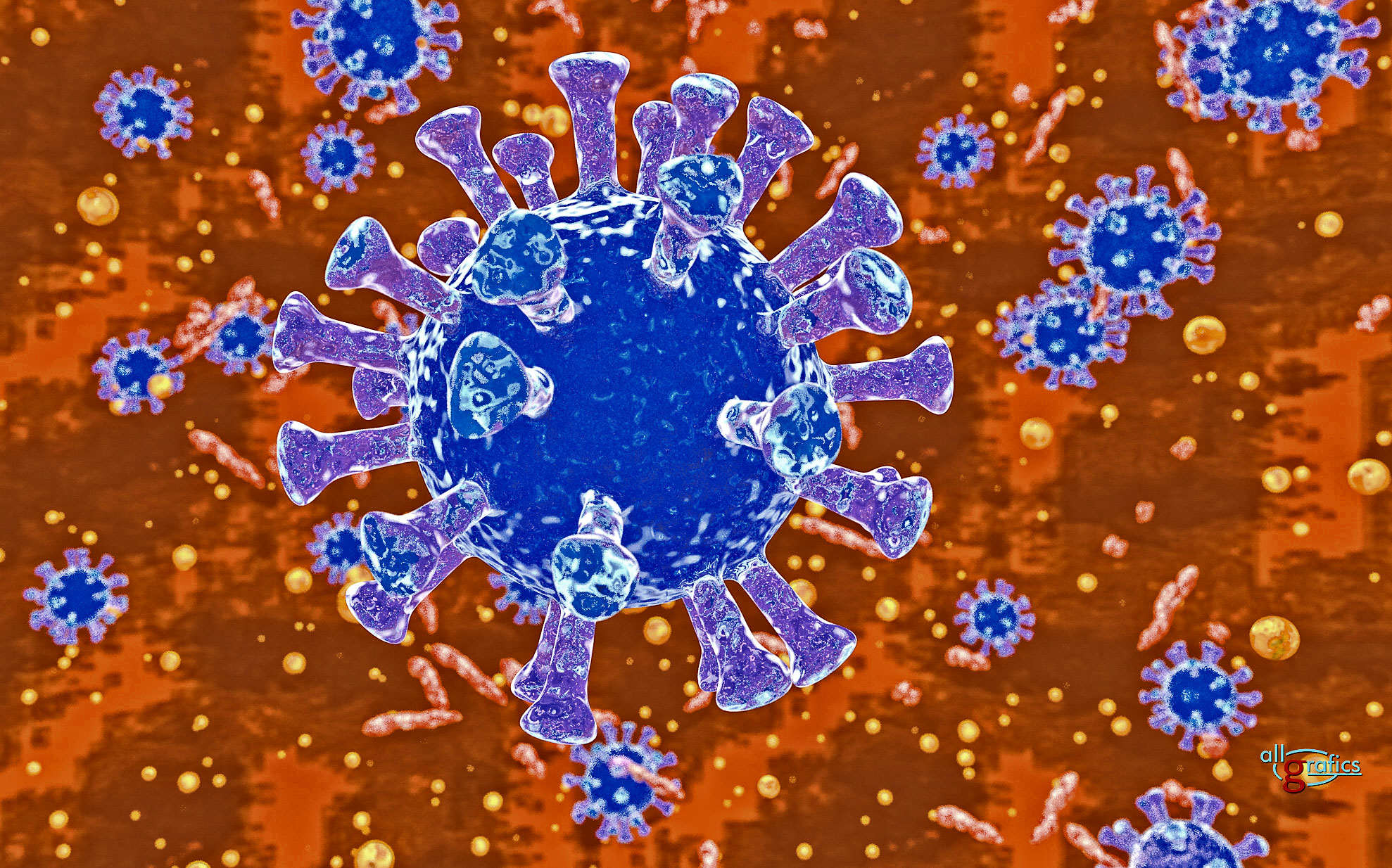 Virus