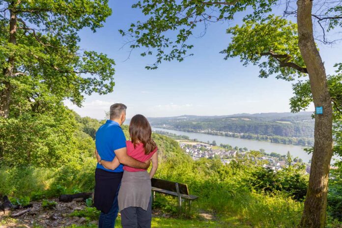 Ausblick auf den Rhein