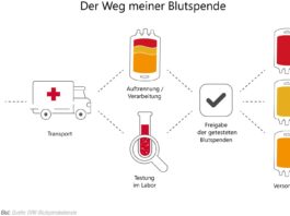 Blutspende Grafik