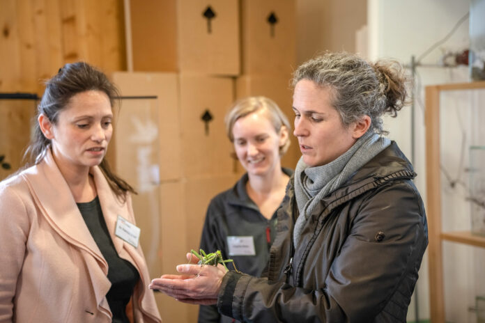 Nachhaltigkeit und Klimaschutz im Blick: In der Umweltlernschule Plus in Niederzissen haben sich Besucherinnen und Besucher am Tag der offenen Tür über das Konzept der Einrichtung informiert. Foto: Bernhard Risse