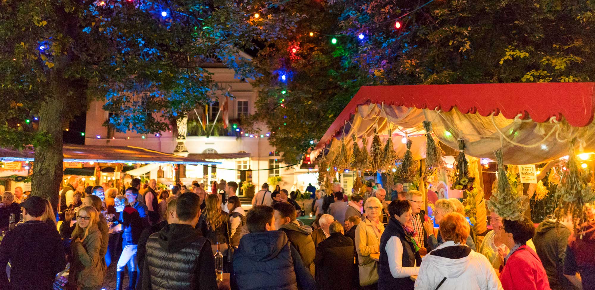 Weinfest Remagen