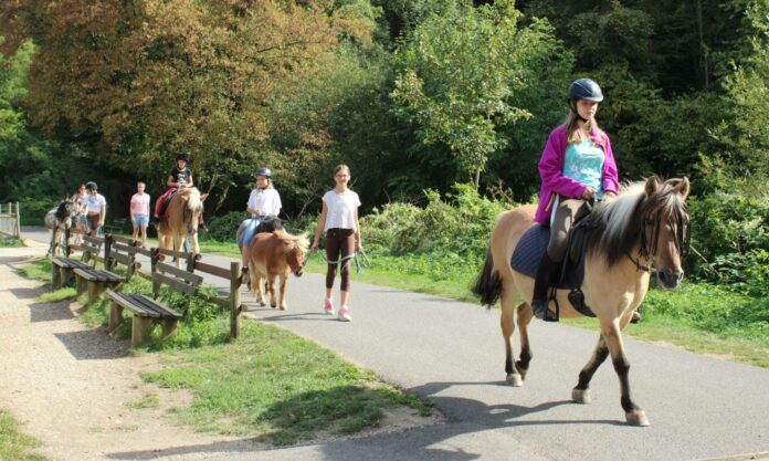 Ponyreiten am Schwanenteich
