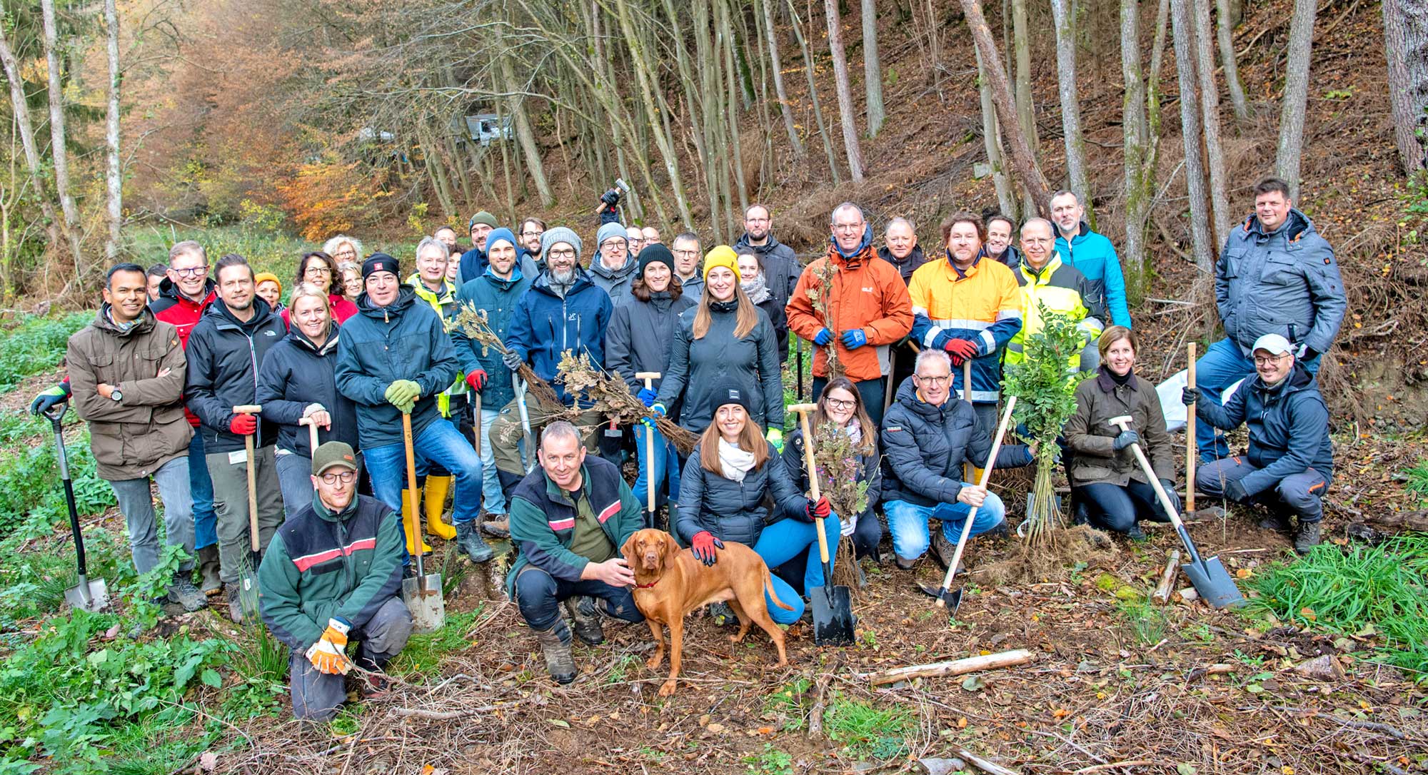 Die Führungskräfte der evm pflanzten mehr als 300 junge Bäume in einem Waldstück am Wirftbach in der Gemeinde Barweiler. Foto: Peter Seydel/evm