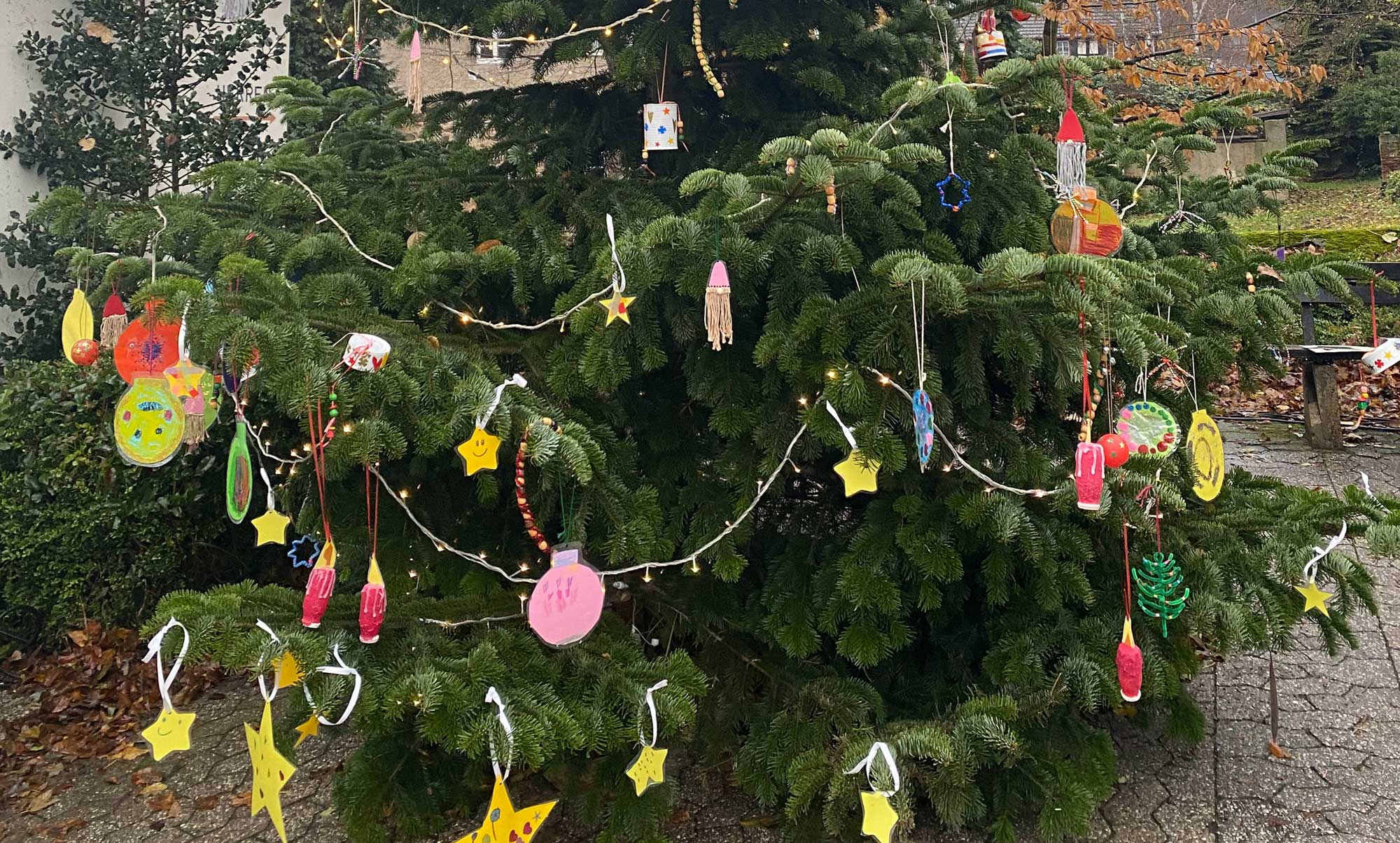 Weihnachtsbaum
