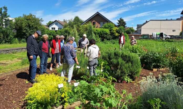 Kräutergarten