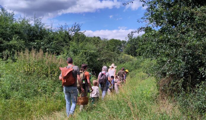 Ein Teil der Gruppe verschwindet auf der Ralley im Grünen… Foto: Stefani Jürries