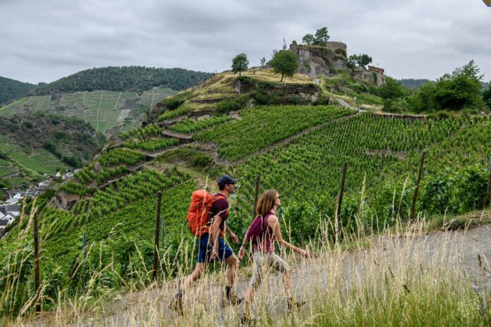 In Mayschoß führt der AhrSteig an der Saffenburg vorbei. ©Christopher Pfromm