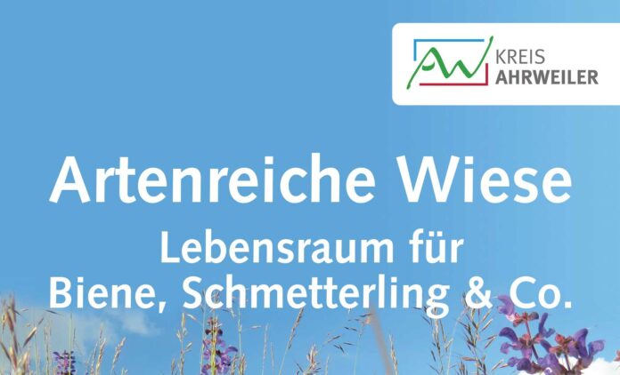 Alle Fördermöglichkeiten auf einen Blick: der neue Flyer zum Projekt „Artenreiche Wiese ­– Lebensraum für Biene, Schmetterling & Co.“ der Kreisverwaltung Ahrweiler. Foto: Ariane Beigi Grafik & Design / Kreisverwaltung Ahrweiler
