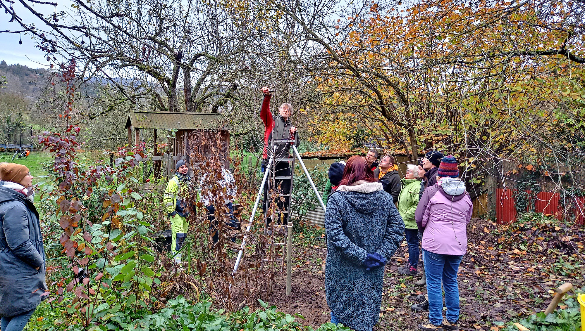 Obstbaumschnitt-Workshop in Remagen