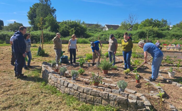 Bei bestem Wetter und guter Stimmung wurde der Kräutergarten gemeinsam neu angelegt. Foto: Stadtverwaltung Sinzig, Sonja Wuttke